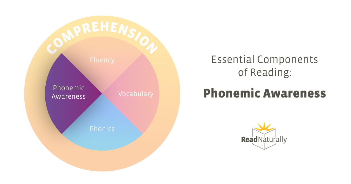 Phonemic Awareness