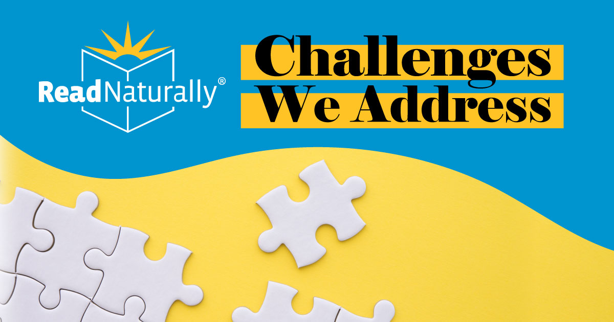 Challenges We Address